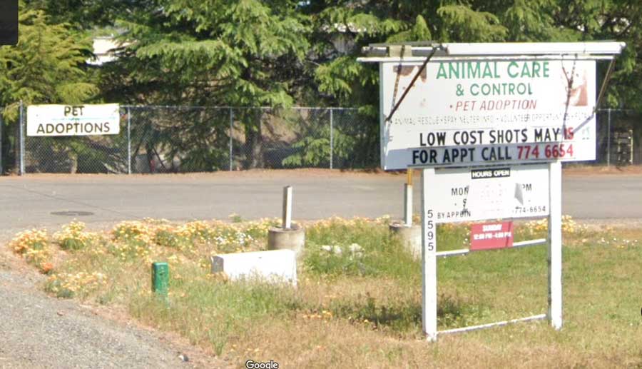 County animal shelter loses 'no-kill' status - Ashland News - Independent,  Nonprofit, Community News