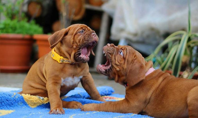 Image by 947051 from Pixabay