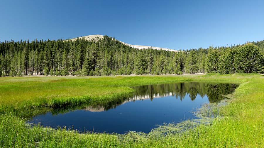Pumice Stone Mountain, in the background, is part of the newly designated Sattitla National Monument. Jonne M. Goeller photo