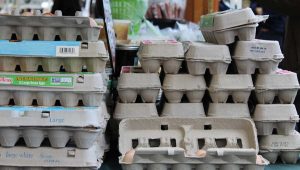 Gov. Tina Kotek announced that SNAP, federal food assistance will be fully funded for November, despite the longest federal shutdown in history. Lyne Terry photo for Oregon Capital Chronicle