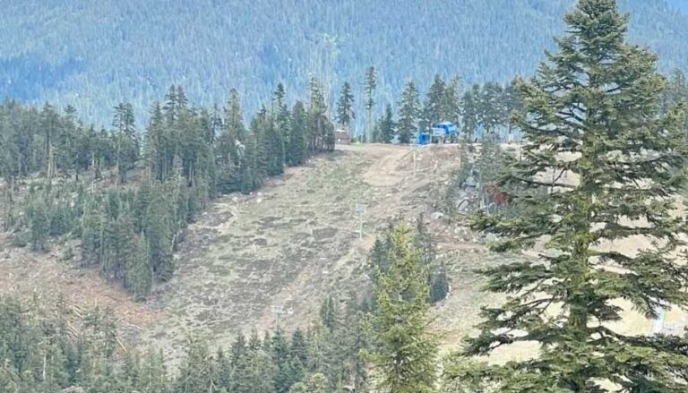 A portion of the Bumblebee Trail, far left, connects to the Poma run at Mt. Ashland Ski Area. The blue Lithia Lift upper terminal and lift towers are on the right. The new trail is a half-mile long. Photo courtesy of Mt. Ashland Ski Area